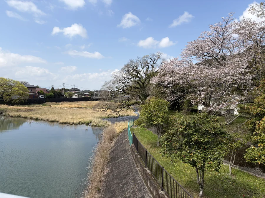 セントラル福岡ゴルフ倶楽部のコース風景