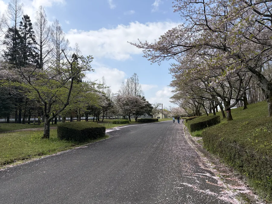 太宰府ゴルフ倶楽部のコース風景