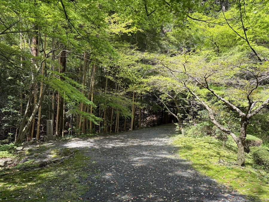阿蘇の草原・外輪山